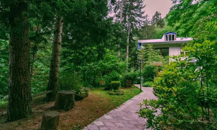 Nunisi Forest Hotel & Spa Exterior photo