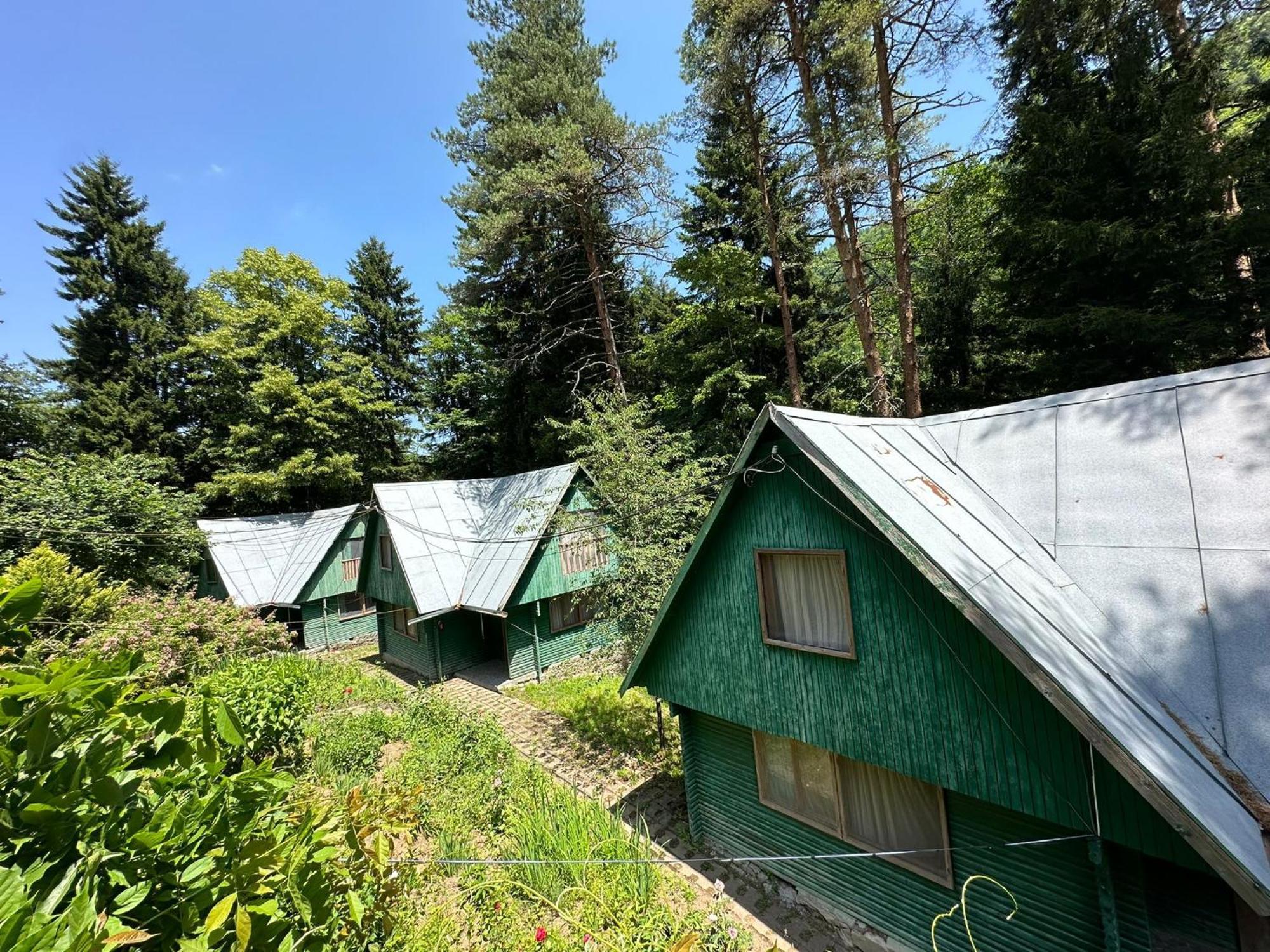Nunisi Forest Hotel & Spa Exterior photo