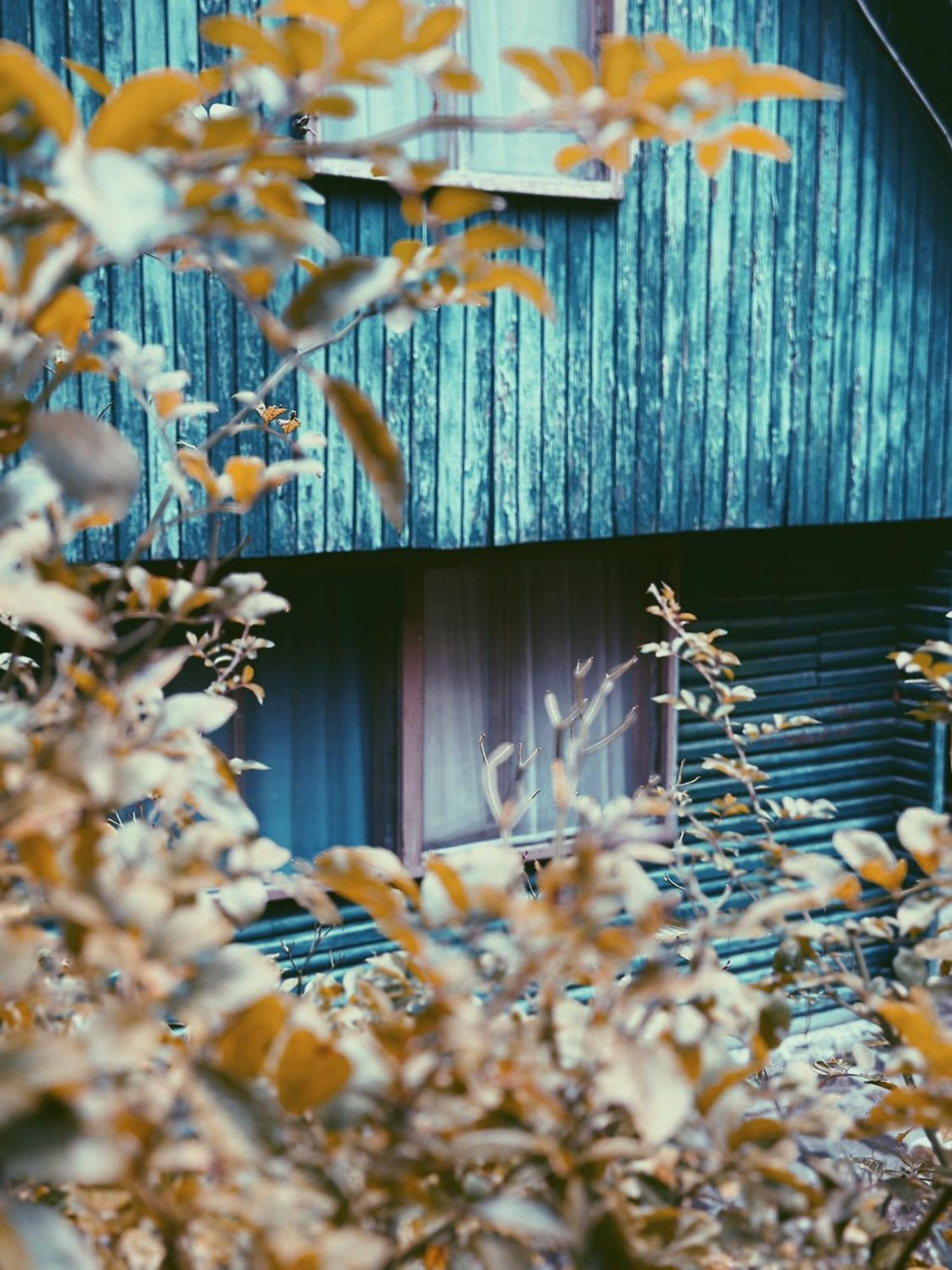 Nunisi Forest Hotel & Spa Exterior photo